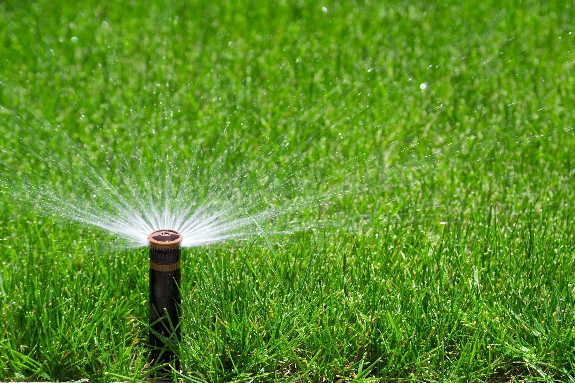 Automatic sprinkler Automatic sprinkler watering grass